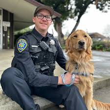 City of Los Altos Police Department