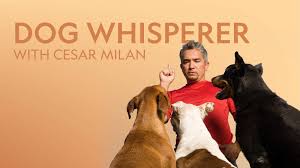Learn from the Dog Whisperer ...