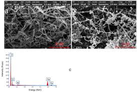 Top questions about signing in or applying online. Toxins Free Full Text Dispersive Solid Phase Extraction Using Magnetic Carbon Nanotube Composite For The Determination Of Emergent Mycotoxins In Urine Samples Html