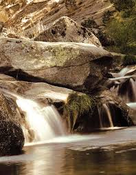 BVCM003375-Memoria de Medio Ambiente 2008-2009