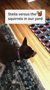 Hunger for Words added a new photo.