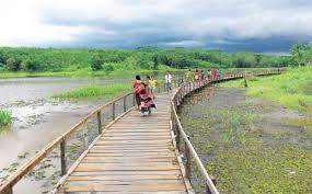 10 monyet proboscis di sungai garama dan firefly. 16 Tempat Wisata Di Balikpapan Terbaik Paling Populer Tokopedia Blog
