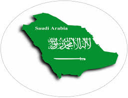 Government Visit Saudi Visa British Passport Visa Government