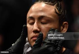 36,971 Lady Emily Stock Photos, High-Res Pictures, and Images