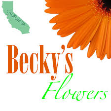 Maybe you would like to learn more about one of these? Becky S Flowers Home Facebook