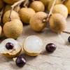 Lychee is a tropical broadleaf evergreen tree native to china, where it grows in a warm, wet climate. 1