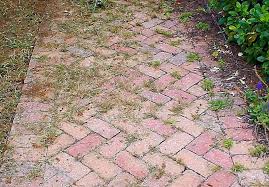 Now, you'll want to grab a bag of polymeric sand and begin filling in the cracks between the pavers. Weeds In My Pavers Where Do They Come From