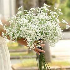 Get artificial baby's breath flowers to add the classic, delicate look of blooms to your home without the hassle of taking care of a real plant. 1 Head Baby S Breath Gypsophila Silk Flower Party Wedding Shopee Philippines