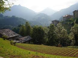 Averara, la fabbrica dei fiori (e dell'alchimia) - Corriere.it