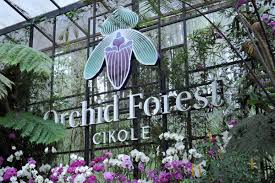Rekomendasi Wisata Bandung Lebaran 2025 | Orchid Forest Cikole Lembang