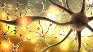 Hier ein überblick über die häufigsten ursachen: Multiple Sklerose Ms Ursachen Symptome Therapie Prognose Netdoktor