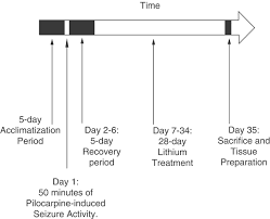 Possible causes for this level increase are a dosage increase, being dehydrated, interactions with other medications, and problems with kidney function. Chronic Lithium Treatment Inhibits Pilocarpine Induced Mossy Fiber Sprouting In Rat Hippocampus Neuropsychopharmacology