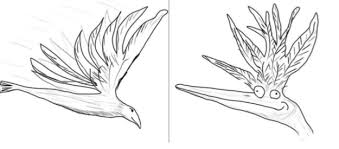 Jun 15, 2010 · the bird names that closely match these are :hok = hawk (a bird of prey)ren = wren (a songbird) bird names that begin with the letter 'i'? Here S Why That Flower Is Actually Called A Bird Of Paradise