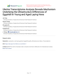 Check our rs3 account calculator to estimate the . Pdf Uterine Transcriptome Analysis Reveals Mechanism Underlying The Ultrastructure Differences Of Eggshell In Young And Aged Laying Hens