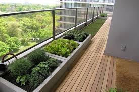Balkongarten Anlegen Frisches Gemuse In Kubeln Anbauen Balkongarten Dachgarten Gartendesign Ideen