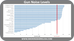 Firearms With Higher Decibel Levels