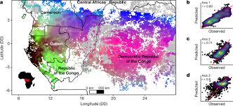 Kaminofen magna mobel gebraucht kaufen ebay kleinanzeigen : Unveiling African Rainforest Composition And Vulnerability To Global Change Nature