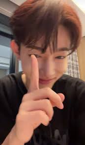 Hao, Zhang. (@zhanighao)