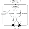 Most anaerobic fermentations require little energy to keep cells in suspension. Https Encrypted Tbn0 Gstatic Com Images Q Tbn And9gcq5ayjmxnci5mzgzhaygdxe8xmx9a68lnodh13f3bncb51n Bk6 Usqp Cau