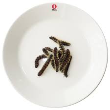 昆虫食 【国産】冷凍 サクラケムシ（モンクロシャチホコ） x 10匹（シーズン品） | 昆虫食(冷凍)の通販 ならバグズファーム