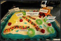 We did not find results for: 25 Edible Cell Project Ideas Cells Project Edible Cell Edible Cell Project
