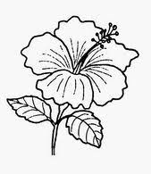 Flower Pictures For Coloring Examples Of Ma Gambar Bunga Raya Untuk Diwarnai Contoh Gambar Flower Pictures Colorful Pictures Black And White Flowers
