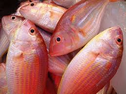 Bisugo Threadfin Bream Buy Fish Online Fresh Fish Buy Fish