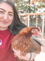 Welsummer chicken name suggestions needed