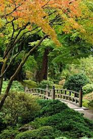 Pin By Willem Bras On Mooie Tuin Japanese Garden Portland Oregon Oregon Travel