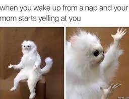 20 Wake Up Memes That Ll Turn Your Day Around Sayingimages Com