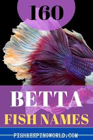 160 Best Betta Fish Names For Your Fiery Friend In 2020 Betta Fish Betta Fish Care Betta