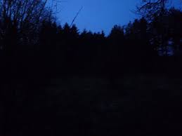 Safe and secure online booking and guaranteed lowest rates. Driepaalweg Dilsen Mapio Net