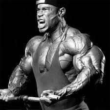 كتب كمال اجسام اون لاين بدون تحميل online bodybuilding books pro bodybuilders fit life gym rat