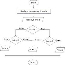 Algoritmi genetici11, 27, 33, 54 pentru a nelege algoritmii genetici, n primul rnd trebuie s nelegem i s cuantificm modelul evoluiei naturale (darwiniste). Tipuri De Algoritmi Tip Liniar De Algoritmi