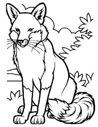Peachy cute animal coloring pages of animals 14 11586 coloring. 330 Coloring Pages Animals Ideas Coloring Pages Coloring Books Colouring Pages