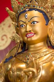 Call To Practice: We are immediately launching a Tārā campaign in response  to the Russian invasion of Ukraine. Here's how you do it: Become the dark  red fierce 13th Tārā Yüllé Gyaljema.