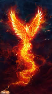 Check spelling or type a new query. Phoenix Phoenix Bird Tattoos Phoenix Art Tattoo Dragon And Phoenix
