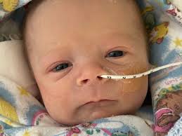 Fundraiser for Lucy Gavin by Sarah Lehane : Help Toby