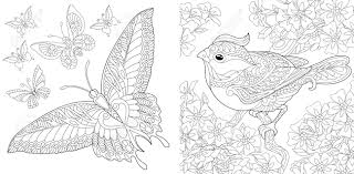Garden tools coloring page from gardens category. Adult Coloring Book Vintage Butterfly Collection Bird In Flourish Garden Line Art Design For Antistress Colouring Pages In Zentangle Style Vector Illustration Royalty Free Cliparts Vectors And Stock Illustration Image 146991226