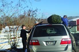 North Forsyth Christmas tree farms offer family experience