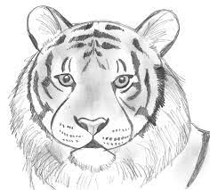 Maybe you would like to learn more about one of these? Draw 25 Wild Animals Even If You Don T Know How To Draw Art Starts