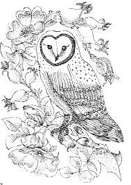 Here's a free owl mandala from my nature mandalas coloring book. Free Printable Coloring Pages Of Owls Coloring Home
