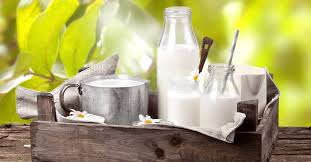 So why do camels store fat in these humps instead of having it spread equally throughout their bodies, like other mammals? Milk Healthy And Nutritional Freshmagazine