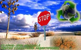 We did not find results for: Ziua MondialÄ Pentru Combaterea DesertificÄrii MarcatÄ La Craiova Radio Romania Oltenia Craiova