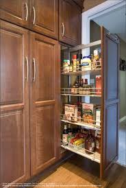 Pantry Cabinets For Kitchen Utility Pantry Cabinets Wellborn Cabinet In 2020 Pantry Closet Design Pantry Cabinet Closet Kitchen