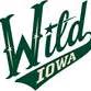 Iowa Wild at Grand Rapids Griffins
