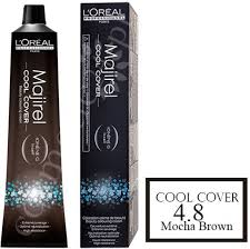 Loreal Paris Cool Cover Hair Color