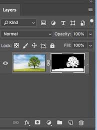 To start you go to the left hand toolbar and find the quick selection tool. How To Cut Out Anything In Photoshop 3 Best Ways To Remove Backgrounds From Photos Photoshopcafe