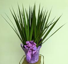 Obituary: Gladys Kuchenbecker