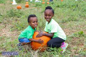 Image result for tbn:0PJB32OL7JwfOM::farm4.static.flickr.com/3324/3329876139_f2d551139f.jpg